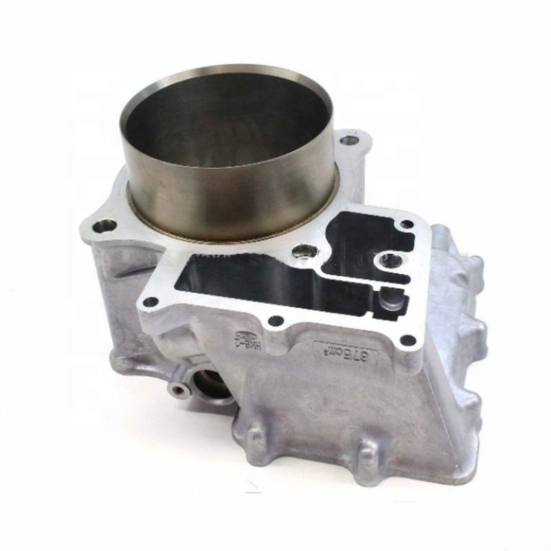 Motorcycle Engine Kit - Parti TG55: Gruppo Cilindro Motore per
