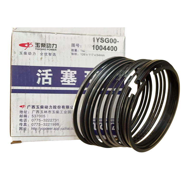 Set di Fasce Elastiche per Pis - Motorcycle Piston recensione e prezzo